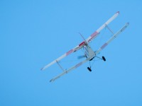 DSC0964