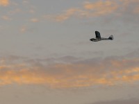 Standbild-2025-08-14-202505_1.20.1