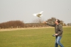 20160403-DSC00486