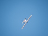 DSC_4771