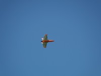 HBI02034 HBI02034