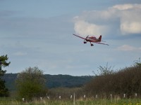 DSC9951