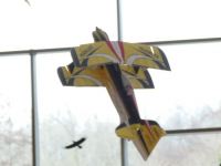 Hallenfliegen03