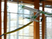 Hallenfliegen06