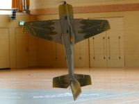 Hallenfliegen07