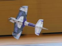 Hallenfliegen08