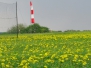 Frühjahr 2011