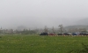 DSC05584