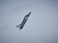 DSC0221