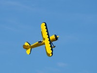 DSC1043
