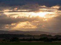 DSC1096