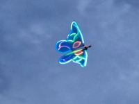 Sommerfest013