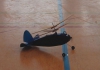 Hallenfliegen2
