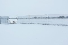 Winter 2021