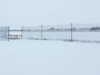 Winter_Januar_2021